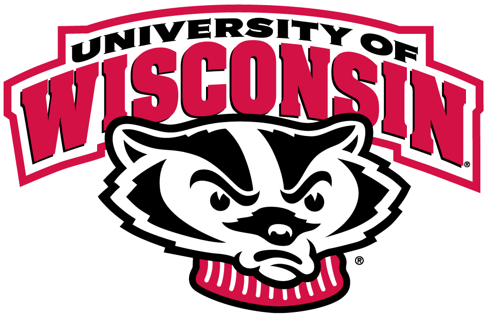 Wisconsin Badgers 2002-Pres Alternate Logo iron on transfers for T-shirts